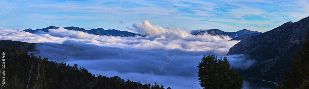 Fototapeta premium Panorama Cloud Layer Over Mt Charleston Forest and Mountain Landscape Nevada