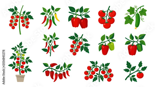 Various vegetables growing on vines and garden plants.