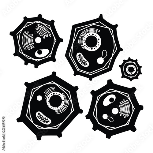 Foto Cell Structure Diagram Illustration.