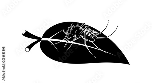 Photos A dark silhouette of a mosquito rests on a simple black leaf, suggesting themes of disease vectors, pests, nature, and the potential for biological threats