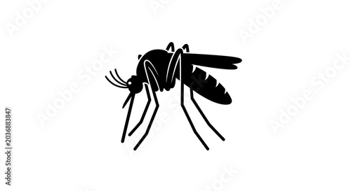 Silhouette of a mosquito with intricate details of its body and wings, representing a common insect and a vector for disease, isolated on a white background.