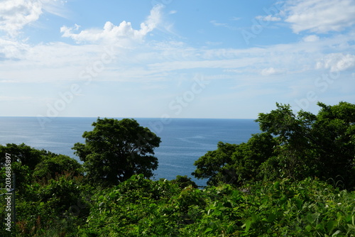Plakat 樹木越し海