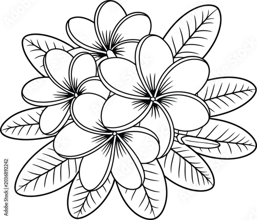black and white flower