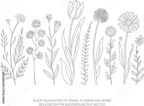vector set of flowers