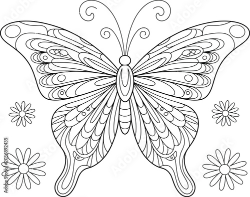 butterfly on white background
