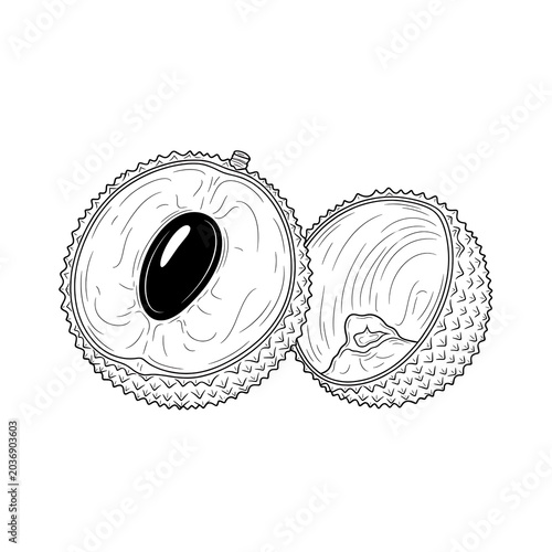 Halved Lychee Fruit with Seed and Textured Skin.