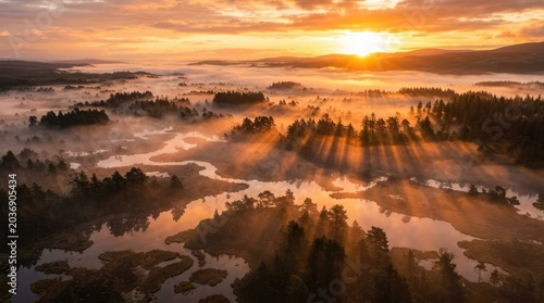 Aerial drone captures serene bog wetland at sunrise with misty atmosphere and sun rays shining through trees.