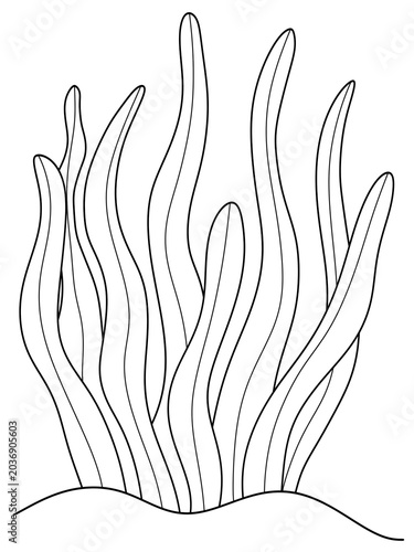 digital hand draw for coloring page seaweed