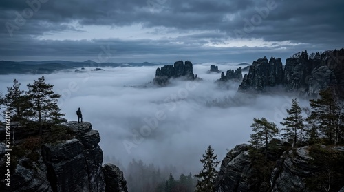 A person stands on a rocky cliff overlooking a foggy valley with pine trees and rugged mountains in the background under a cloudy sky