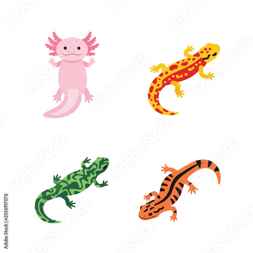 Set of Colorful Amphibian Illustrations Featuring Axolotl Fire Salamander and Marbled Newt Species on White Background