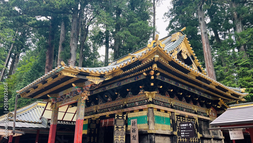 Obraz na plátne 美しい金箔の装飾と鮮やかな彫刻が施された日光東照宮の祈祷殿（社殿）、背景にそびえ立つ壮大な杉の木々、栃木県にある有名なユネスコ世界文化遺産・日本の観光名所。