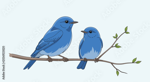 Two blue birds perched on a branch against a white background