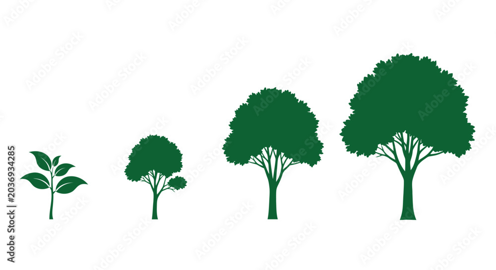 Fototapeta premium Green trees in growth stages.
