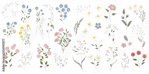 Bild auf Leinwand Floral ornament collection delicate vector illustrations on white background