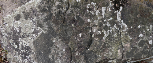 Fotografía Rock and stone texture grey material background pattern