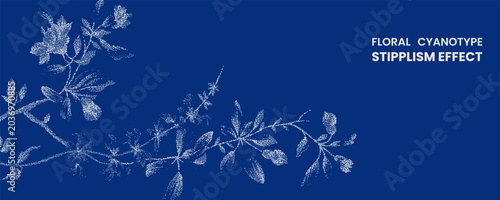 Fotografija Floral cyanotype stipplism background with white stippled botanical branches, fl