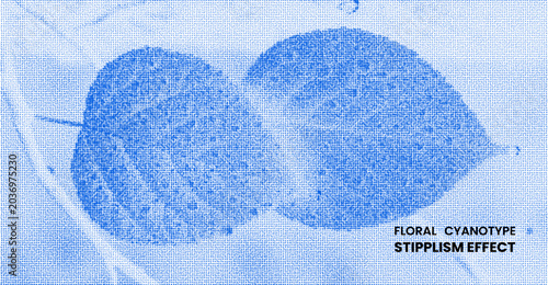 Konstfotografi Floral cyanotype stipplism effect with two leaves, blue pointillist art texture