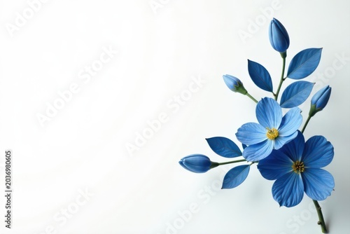 Elegant navy blue and white floral sprigs on white background, plant, elegant pattern, spring
