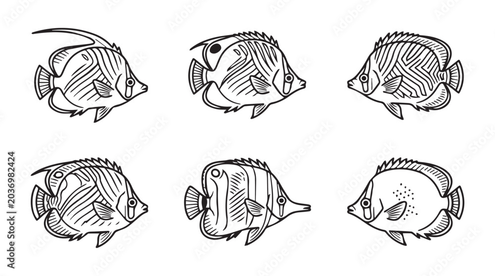 Fototapeta premium Set of hand drawn butterfly fish illustrations with butterflyfish underwater wildlife tropical illustration handdrawn monochrome isolated collection creature swimming minimalist