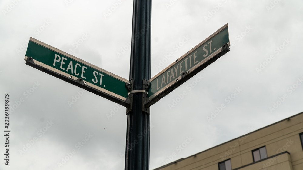 Fototapeta premium Peace Street and Lafayette Street Intersection Signs Against Cloudy Sky, Trenton New Jersey