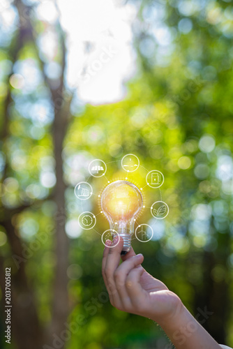 light bulb against nature, icons
