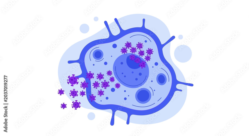 Fototapeta premium Virus infecting a cell, microscopic view, scientific illustration