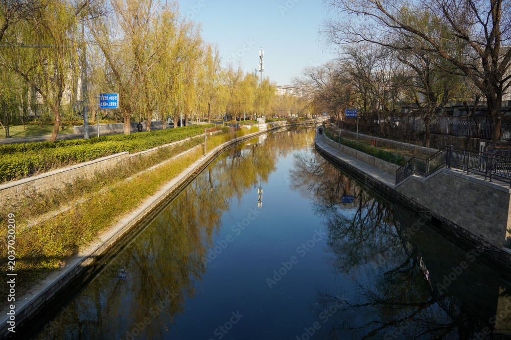 Fototapeta premium Serene river surrounded by trees in an urban park area