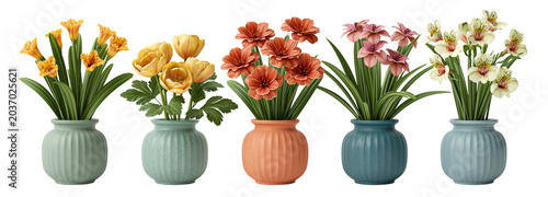 Colorful flower arrangement in vases with transparent background for decoration