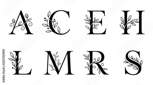 Elegant Floral Letter Monograms - Decorative Alphabet with Leaves