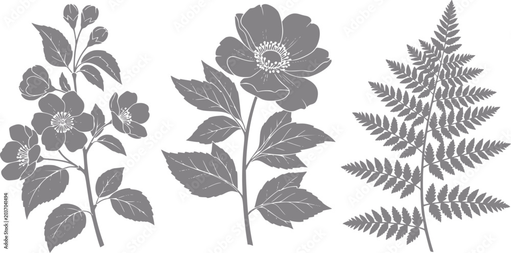 Fototapeta premium Floral and fern silhouettes in grey tones on white background