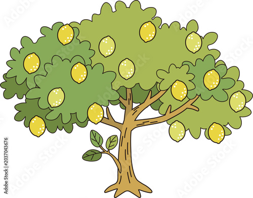 Fruit 1_Lemon: Fresh Yellow Lemons Growing on a Green Tree