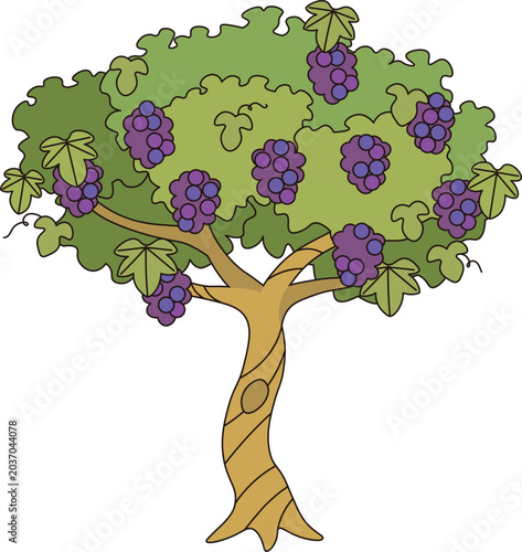 Fruit 3_Grape: Fresh Purple Grapes Growing on a Beautiful Vine Tree