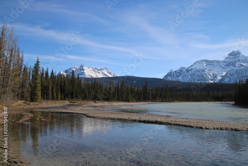 Spring In The Mountains, Jasper National Park, Alberta