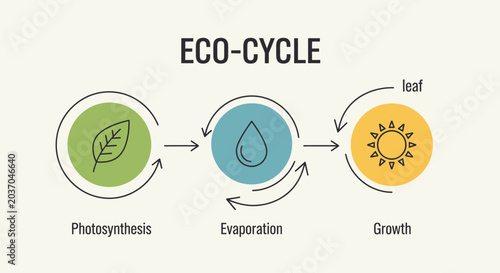 Eco cycle diagram illustrating photosynthesis evaporation and growth process