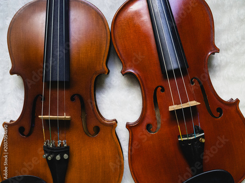 Front side of two violins,show detail of acoustic instrumen