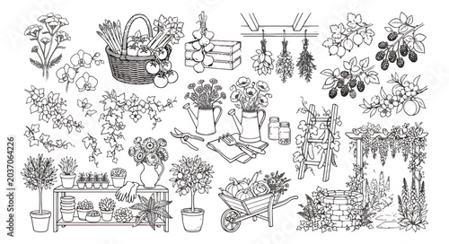Tableau sur toile Vintage garden line art collection, hand drawn botanical illustrations of flower