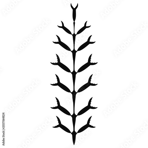 Photos Black silhouette of a symmetrical stylized plant with pincer shaped leaves on wh