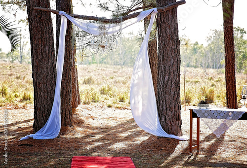 Rustic woodland wedding arch decorated with flowing white fabric and crystal chandelier between tall pine trees.