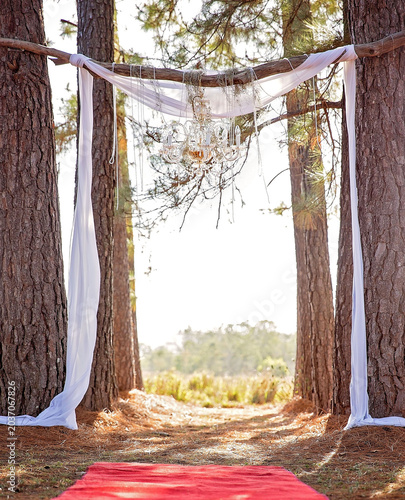 Elegant outdoor wedding ceremony arch with crystal chandelier, flowing fabric, and red carpet set among tall pine trees.