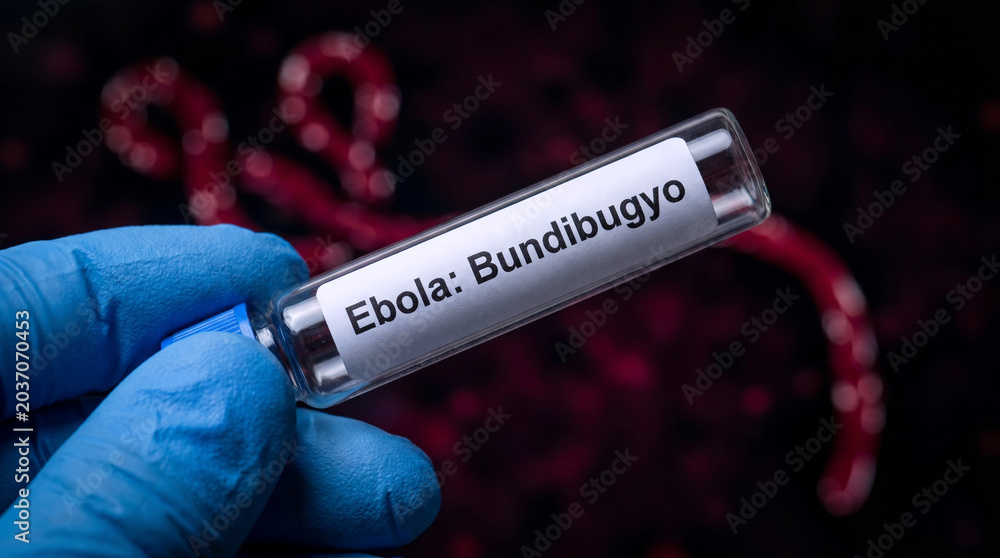Obraz premium Gloved hand holding Ebola Bundibugyo virus sample vial against dark red background