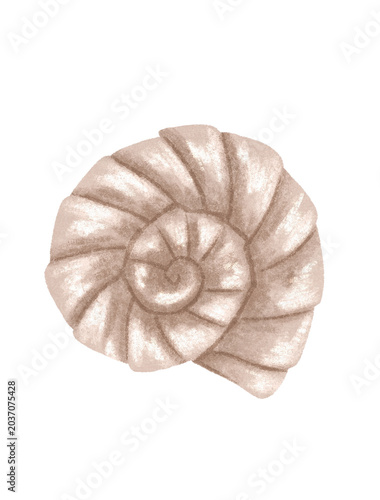 Neutral Beige Spiral Shell Art