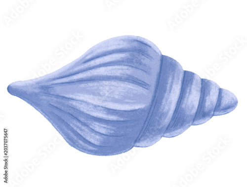Lavender Conch Shell Baby Art
