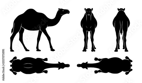 Canvas-taulu Camel silhouette vector set with side front back and top view desert animal coll