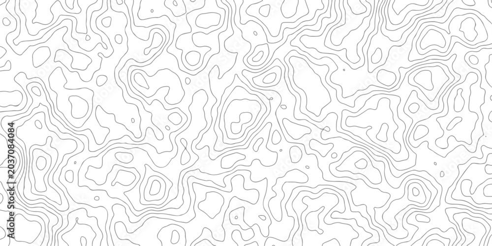 Fototapeta premium Minimalist grey topographic contour lines pattern on white background for clean modern interface and digital design aesthetics.