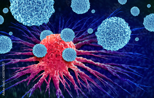 Natural Killer T Cells as immune cells that combine properties of T cells and NK cell to help detect and destroy abnormal or cancerous cells while shaping broader immune responses.