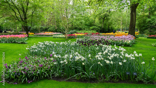 Obraz na płótnie Panoramic Flower Bed in Keukenhof Park
