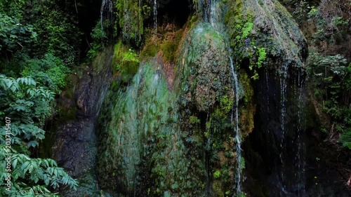 Static shot of moss covered rock waterfall trickling and cascading in forest gorge with lush vegetation