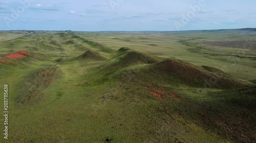 Aerial tracking shot of rolling grassy hills with red wild flowers sweeping across open prairie plain during daytime
