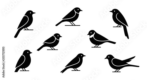 Quadro em tela Eight black and white bird silhouettes in various poses on white background