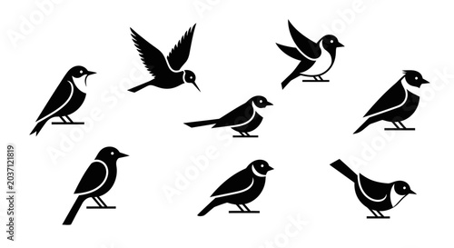 Fotografia Set of eight black and white bird silhouettes in various poses on white backgrou